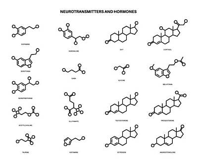 17-Hydroxyprogesterone, LC/MS/MS